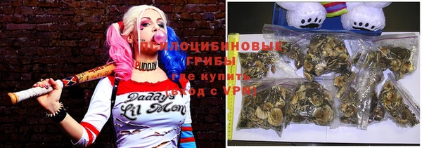 ECSTASY Тихвин